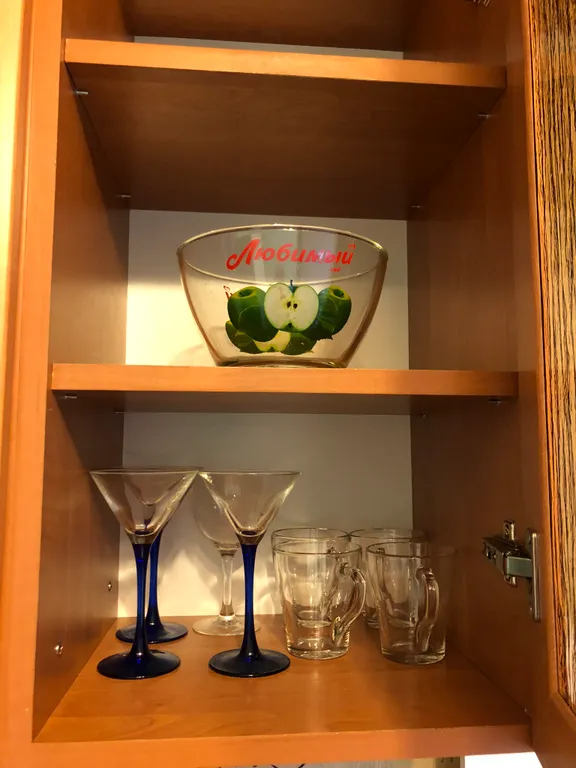 Квартира Центральный район 
Просторная солнечная квартира — Калининград