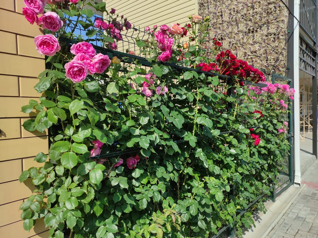 Квартира Luxe-евродвушка - в частном подворье, до 6-ти мест