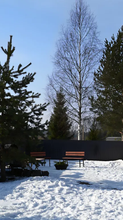 Новый дом в лесу