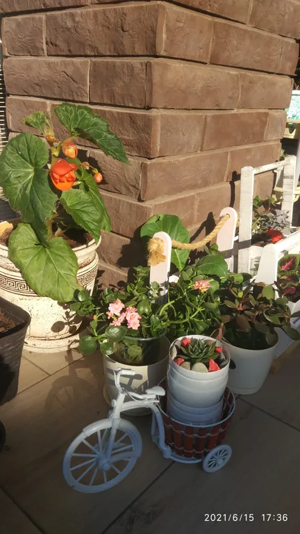 Квартира Квартира Уютная студия в санаторной зоне — Горячий Ключ