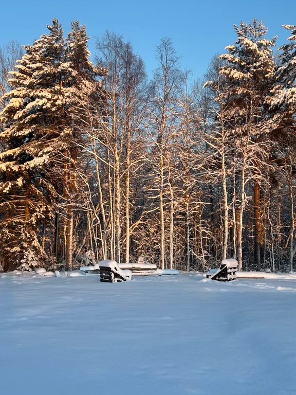 Дом Karelia Haus Онежский берег