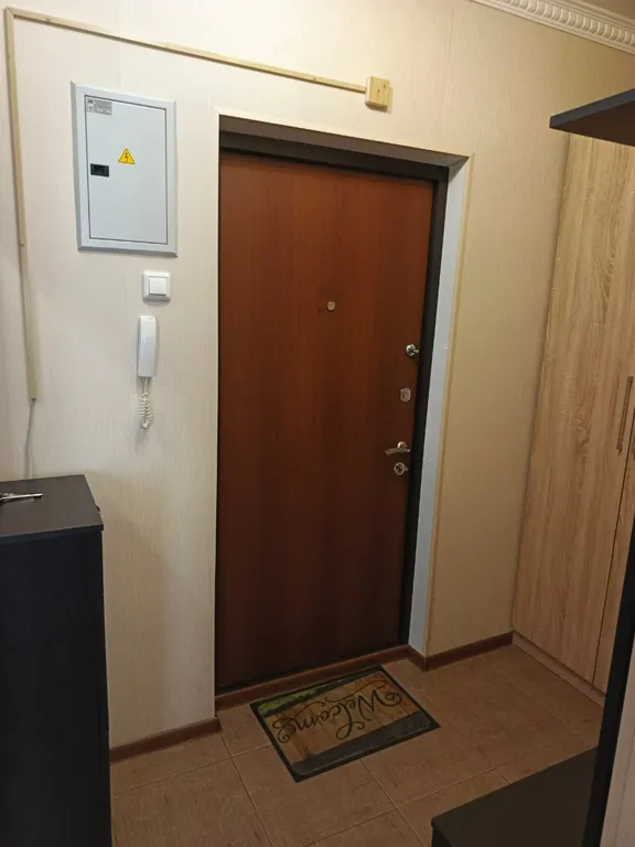 Квартира возле аэропорта Внуково