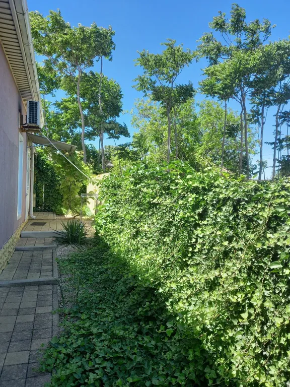 Апартаменты Стрельна-Должанская