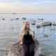Марина