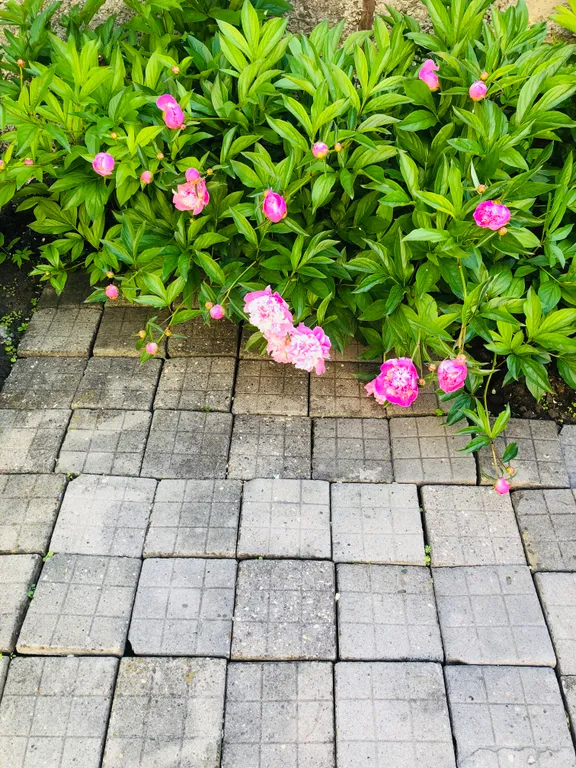 Коттедж Дом в классическом стиле — Кисловодск