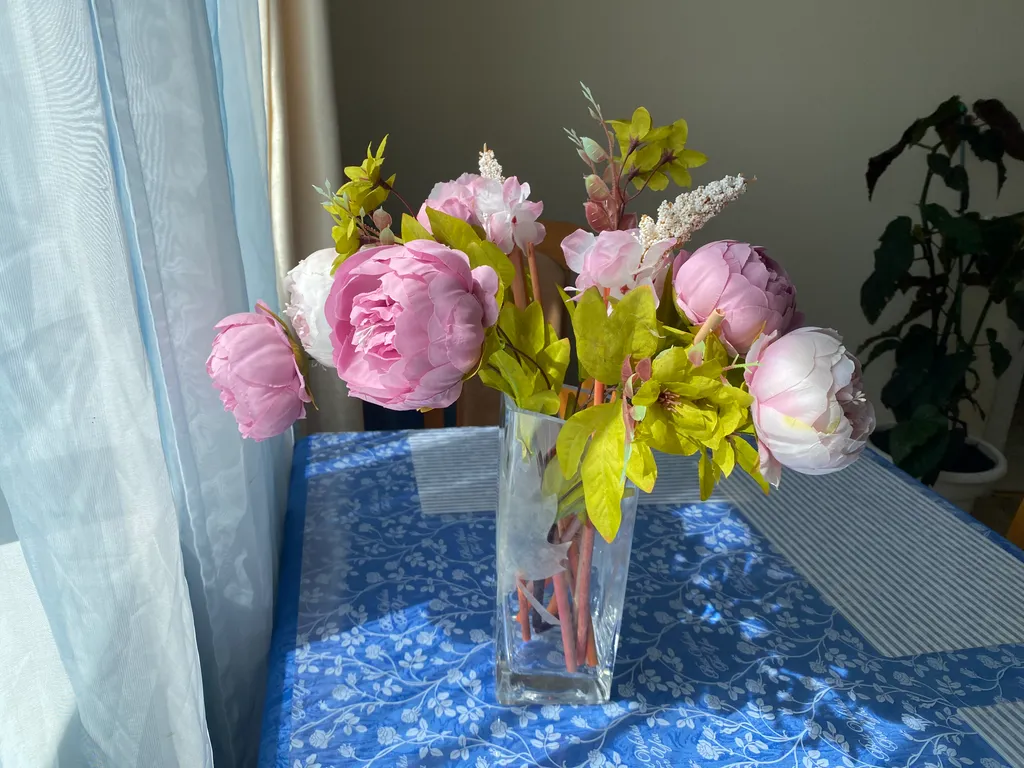 Квартира- антидепрессант рядом с дельфинарием