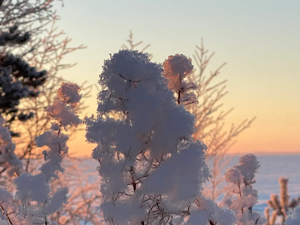 Озерный домик на Онего