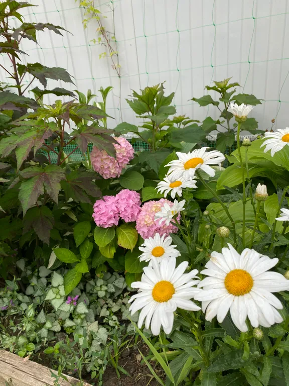 Семейная комната