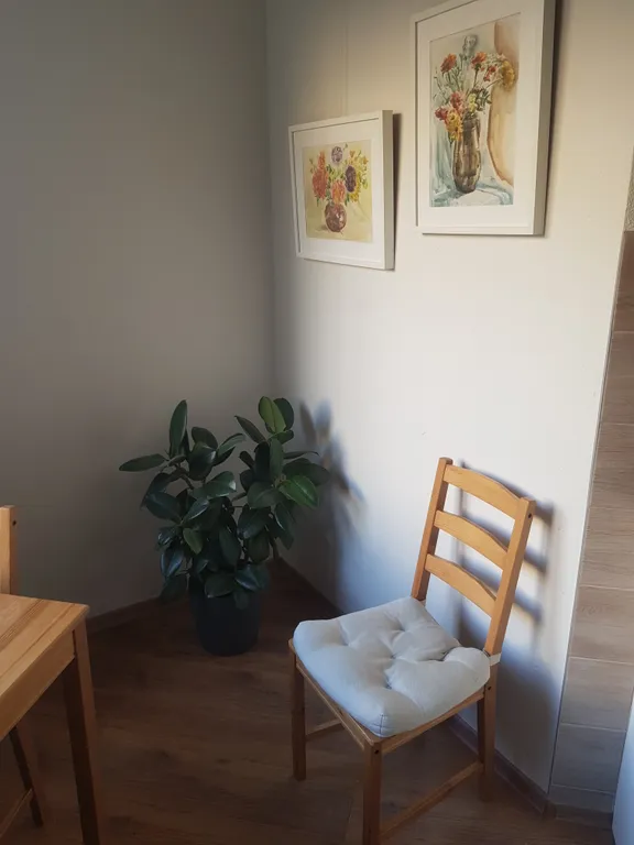 Квартира Квартира Уютная студия в Коломягах — Санкт-Петербург