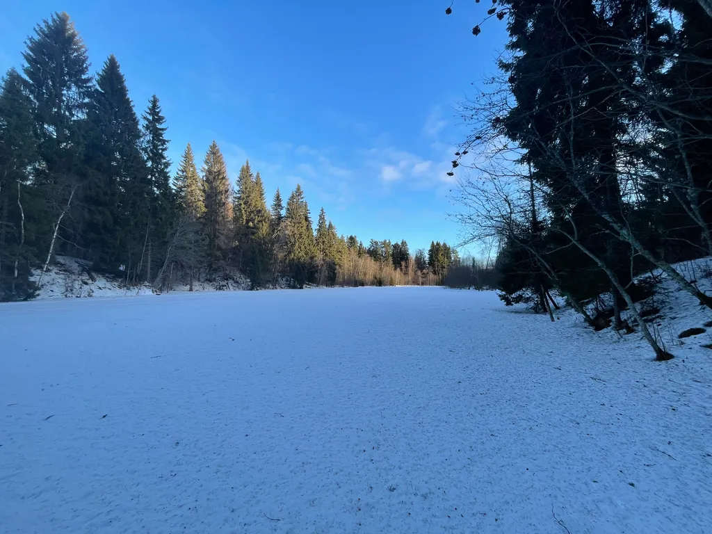 Домик для семейного отдыха в лесу
