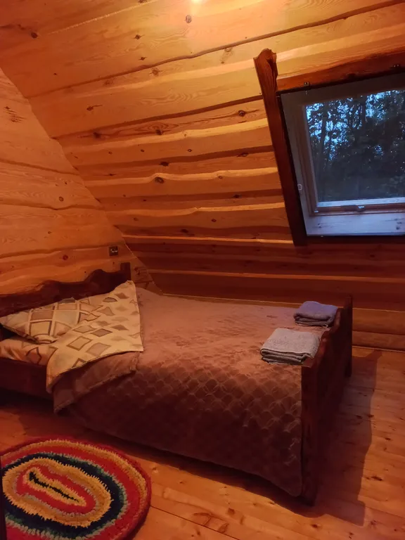 Деревянный дом в лесу рядом с рекой