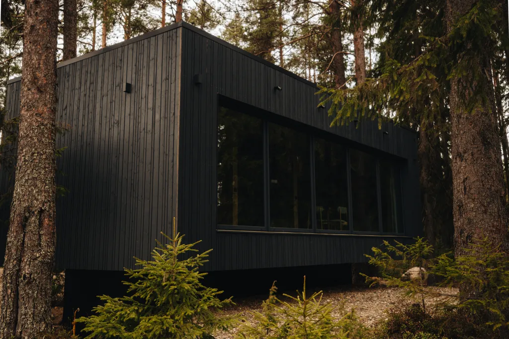 Дом в Карелии с видом на сосновый лес