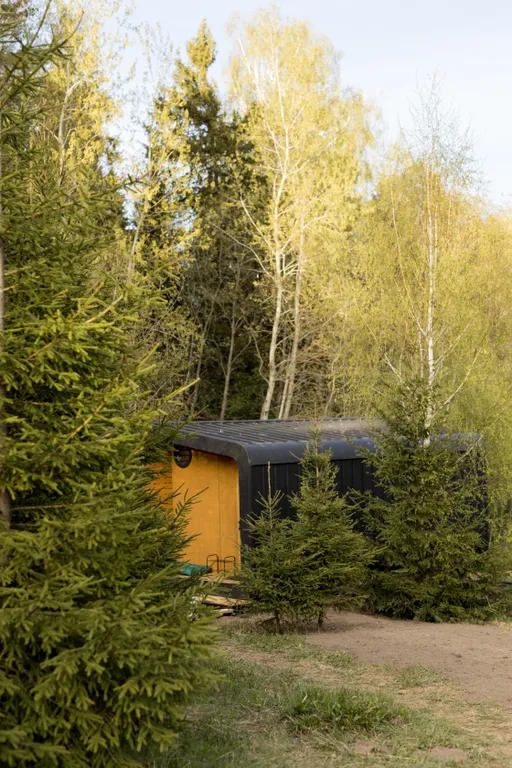 Дом Немо с уличной купелью  в лесу