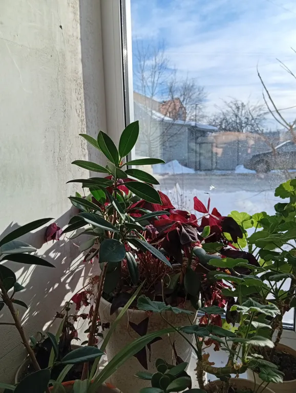 Квартира в историческом центре города