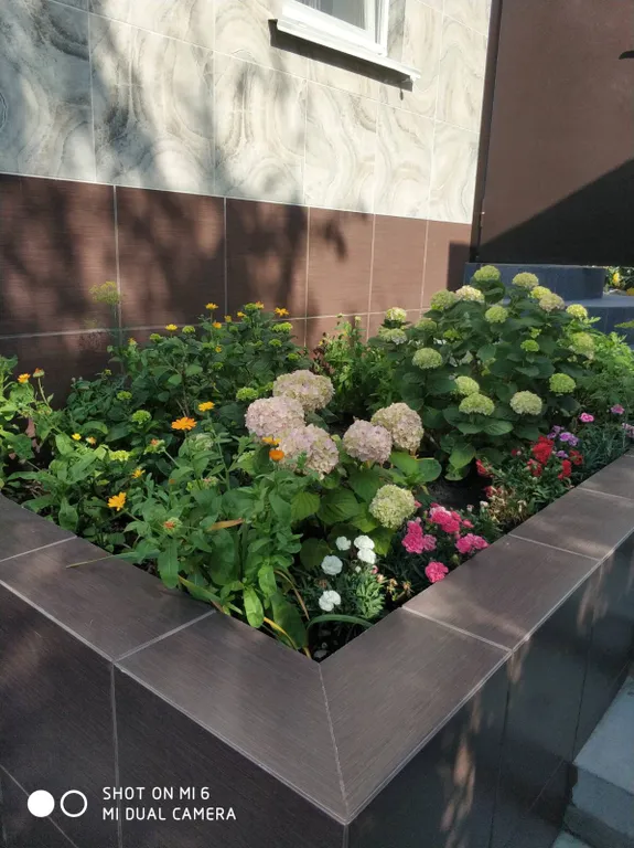 Апартаменты - студия с видом на море