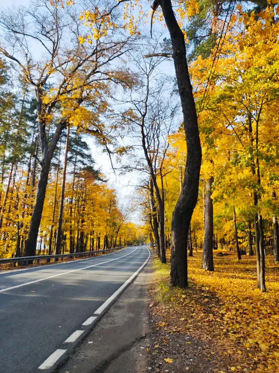 Эко-воки загородный дом