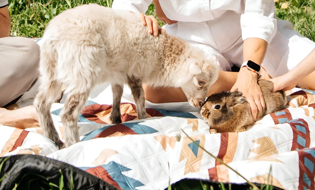 Индейский домик (типи) на Семейной мини-ферме Фазенда