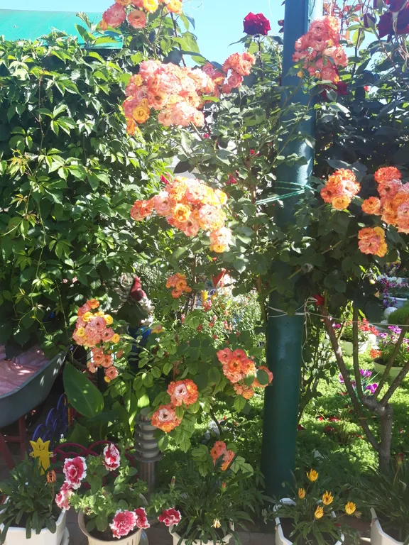 Комфортабельные апартаменты