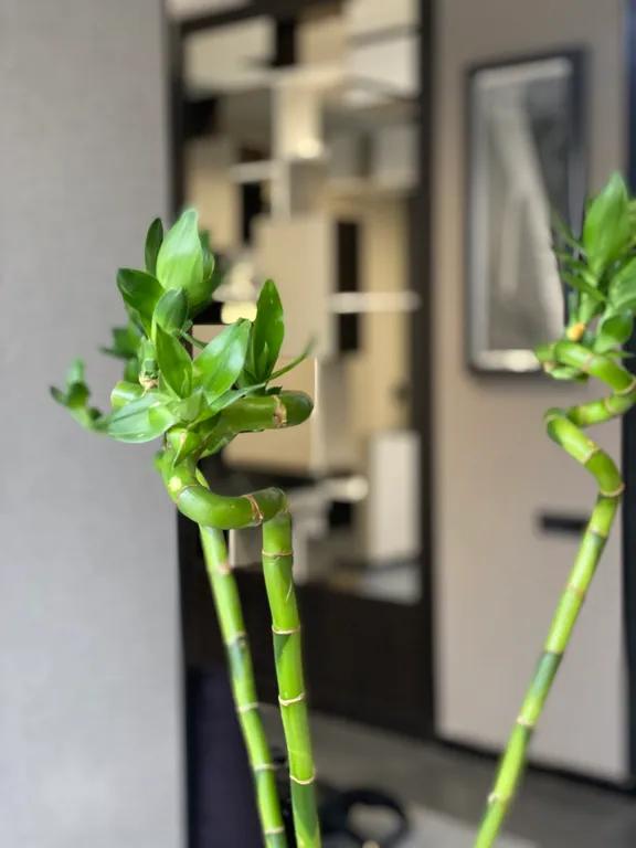 Шикарные апартаменты в Астане