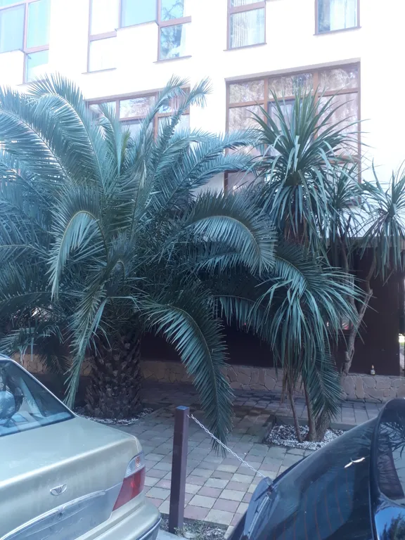 Квартира Квартира Южная жемчужина — Адлер