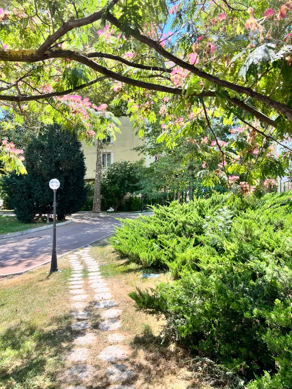 Апартаменты солнечный берег