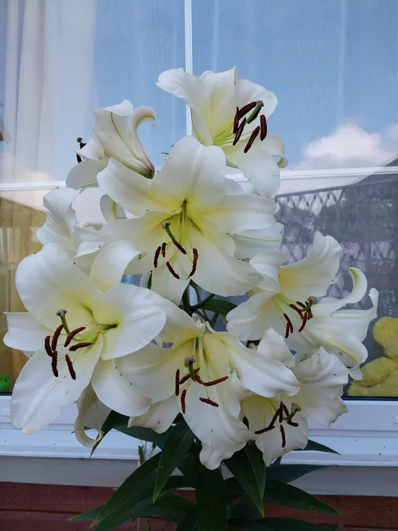 Коттедж Новый, уютный, теплый домик на Куршской косе — Рыбачий