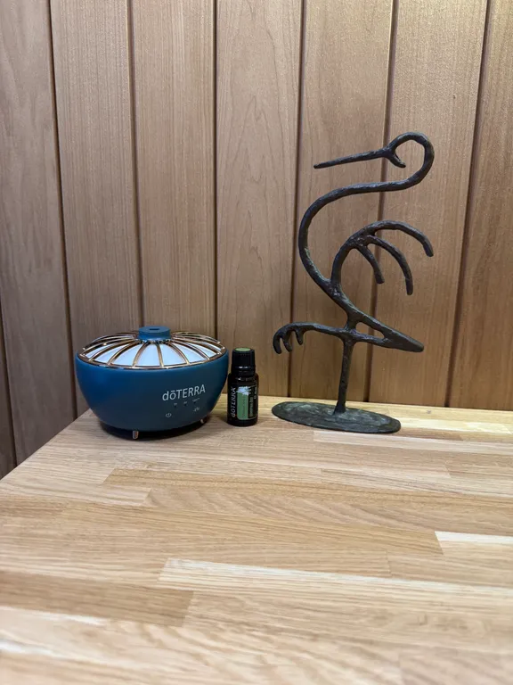 Уютный дом с сауной