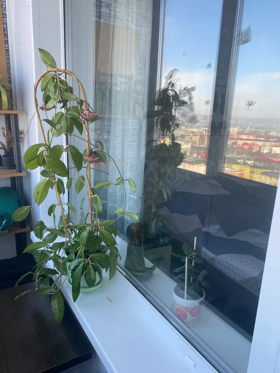 Уютная квартира почти в центре города с потрясающим видом на залив