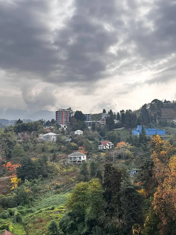 Студия с потрясающим видом на море и Батуми