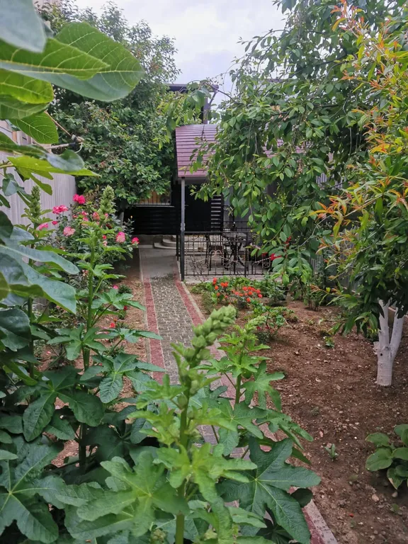 Коттедж Дом с беседкой — аренда посуточно в Судак