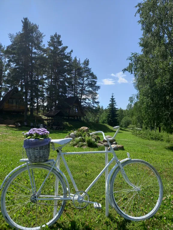 Дом под соснами