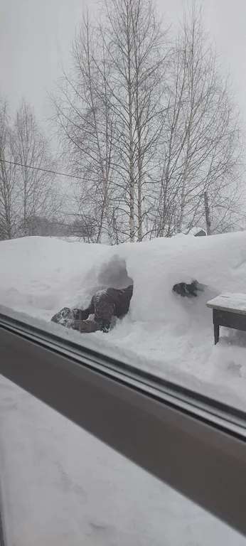 Коттедж 3-комнатный Дом — Шерегеш