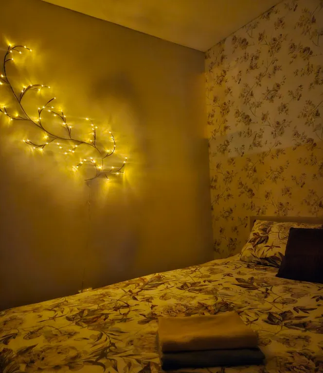 Видовая студия у СК Олимп