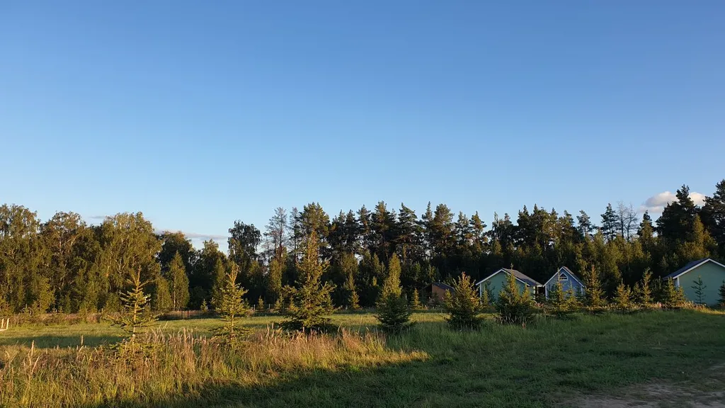 Коттедж Дом с видом на лес в глэмпинге — Казань