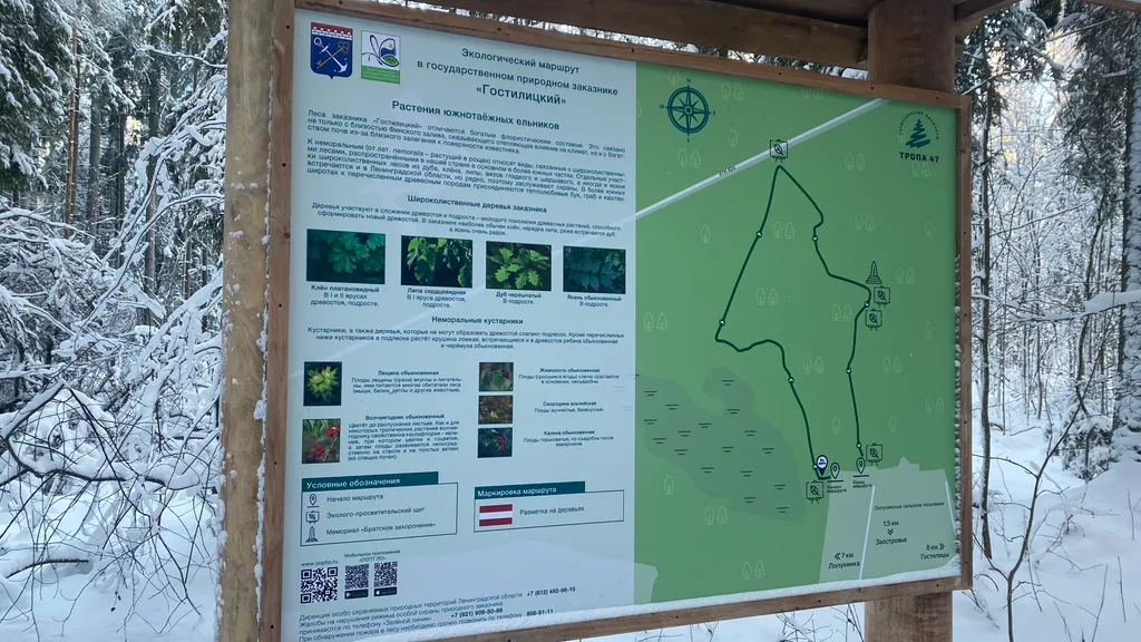 Коттедж Коттедж Баус на Экотропе — Ломоносов