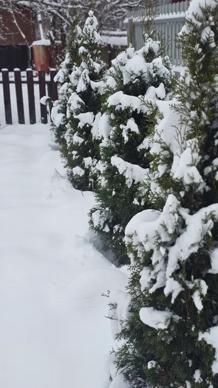 Уютный домик в стиле Прованс