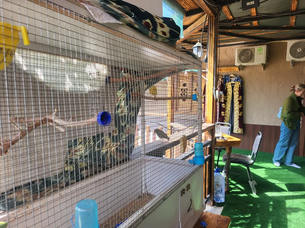 Guest house in Ichan_kala! Внутри крепости Ичан Кала