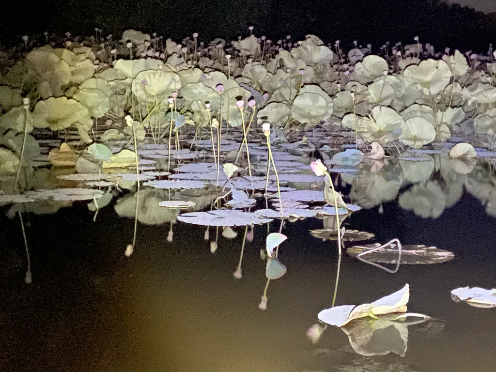 Дом Ранчо рыбака