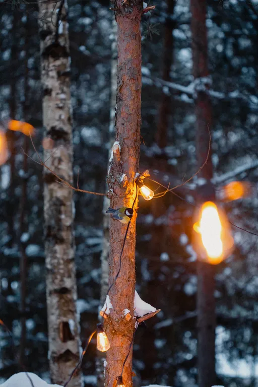 Уютный дом в лесу с панорамой и СПА комплексом