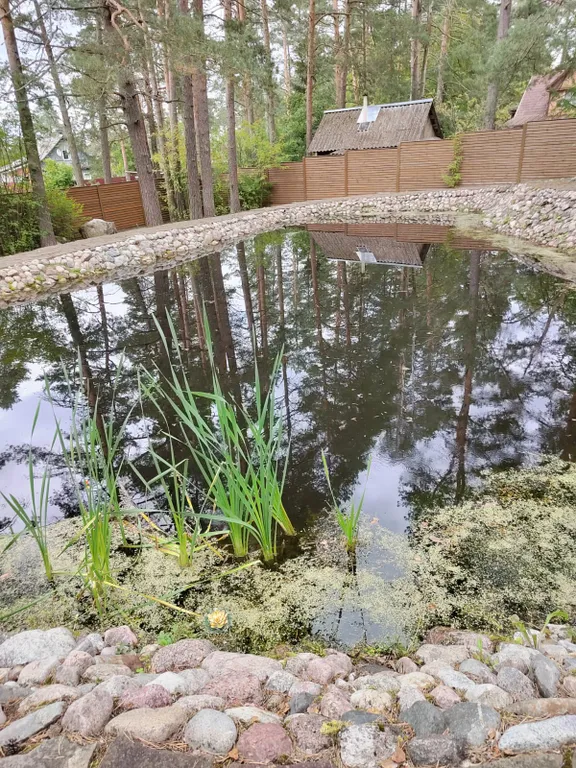 Коттедж Дом для отдыха в живописном месте — Луга