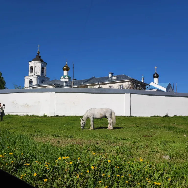 Уютная квартира в Васильевском монастыре — аренда посуточно в Суздаль
