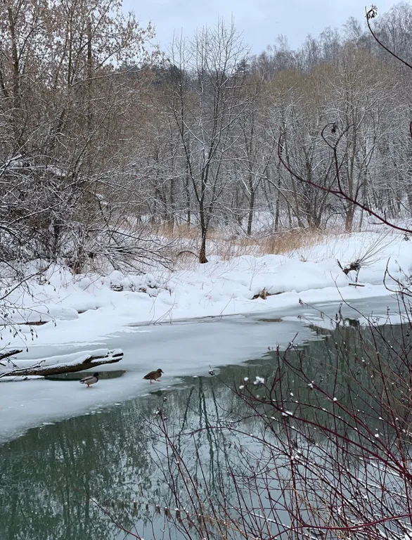 Дом на реке
