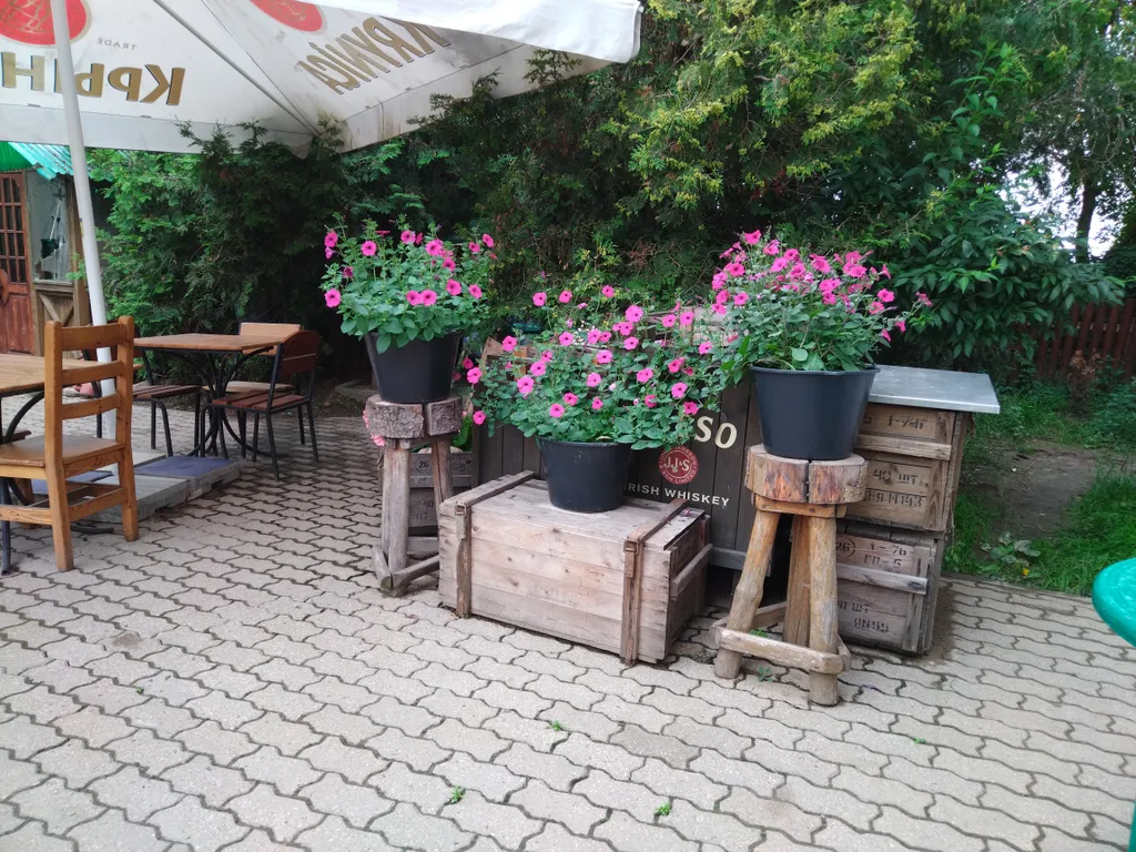 Уютный дом с баней на дровах для вашего отдыха