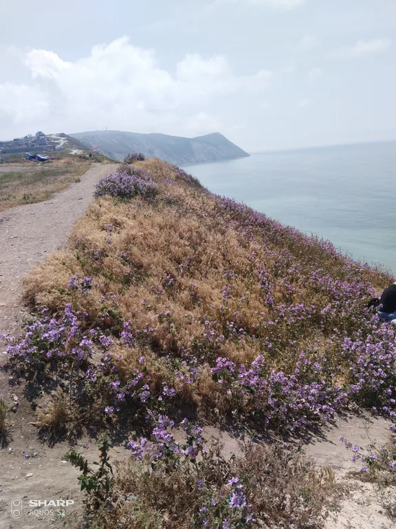 Квартира 1-комнатная квартира с видом на море — Анапа