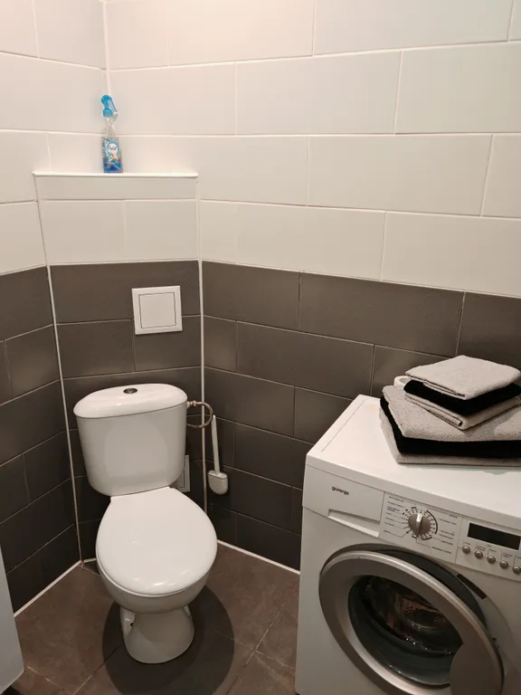 Однокомнатная квартира с 3 спальными местами