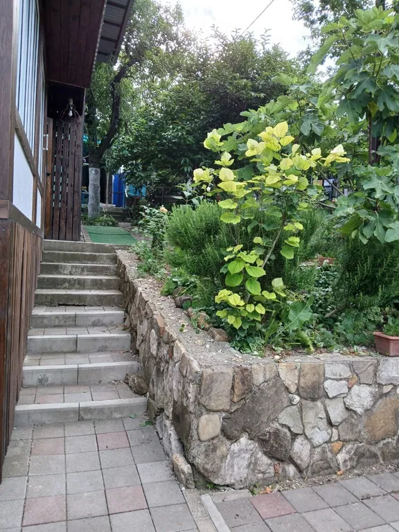 Квартира на первом этаже