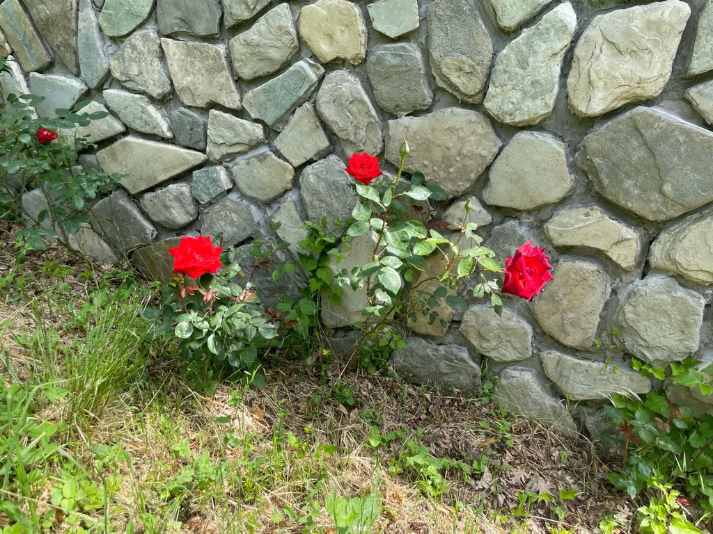 Круглый дом в горах