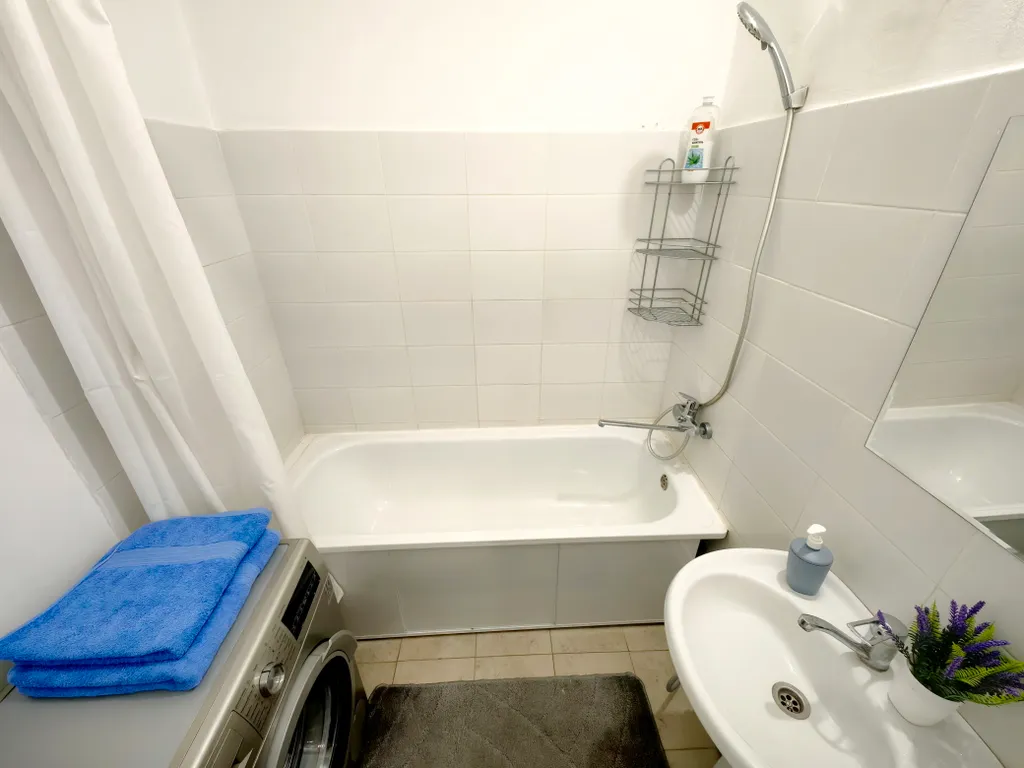 Евродвушка Дельфины Попугаи