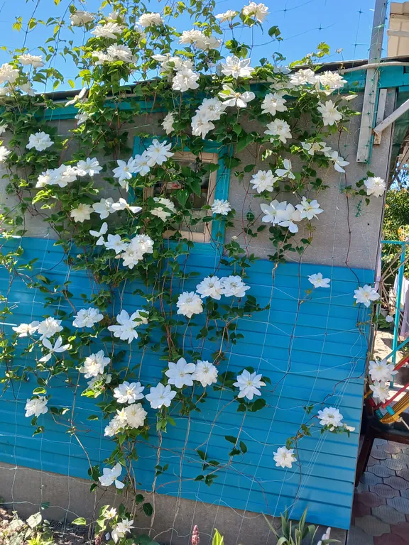 Коттедж Небольшой летний домик — Ейск