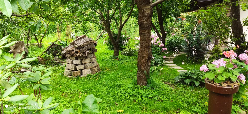 Студия с видом на сад